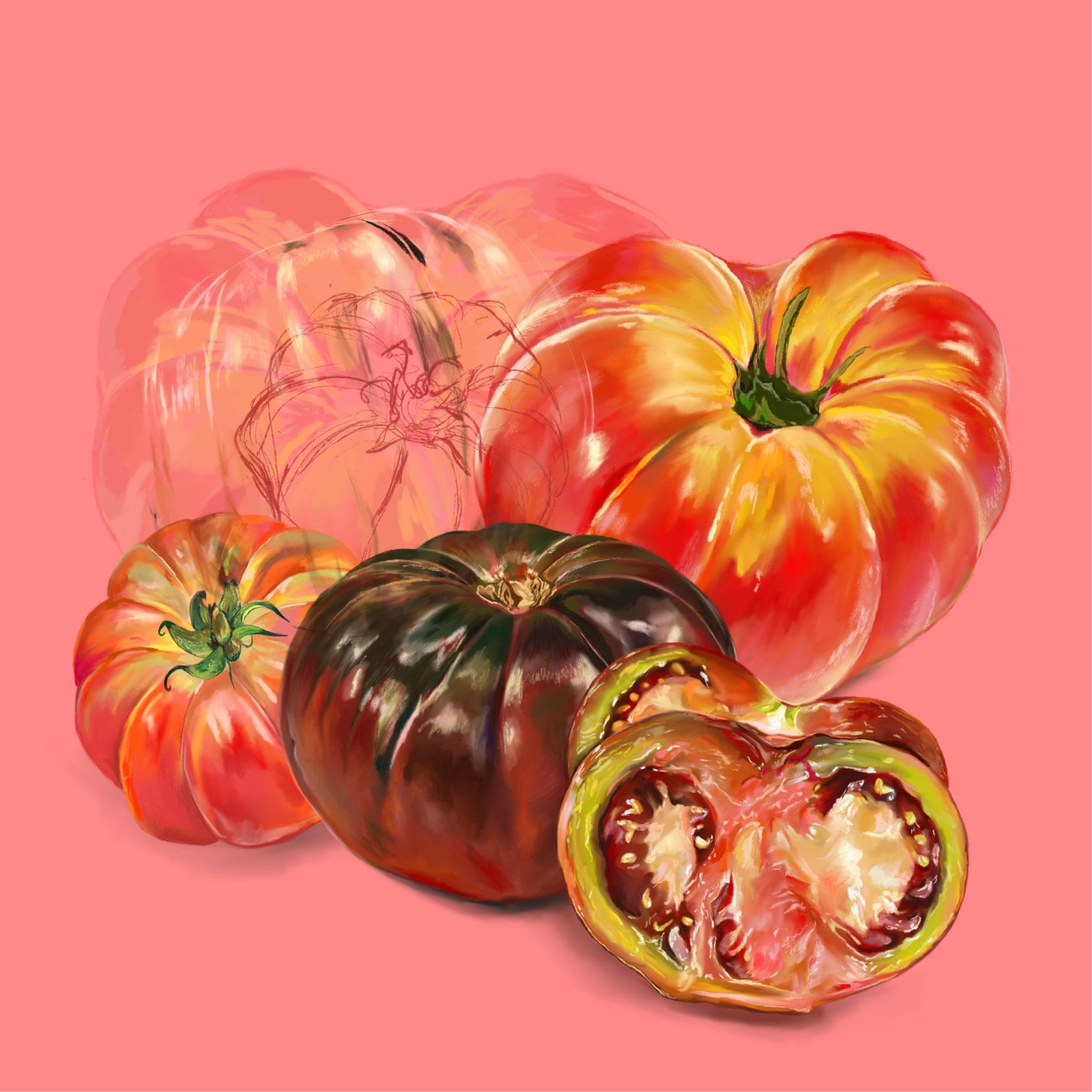 Heirloom Tomato 03 – Fruit Stand Art