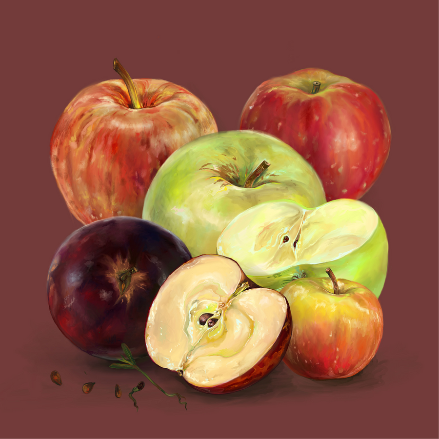 Apples 03