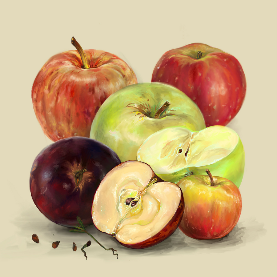 Apples 04