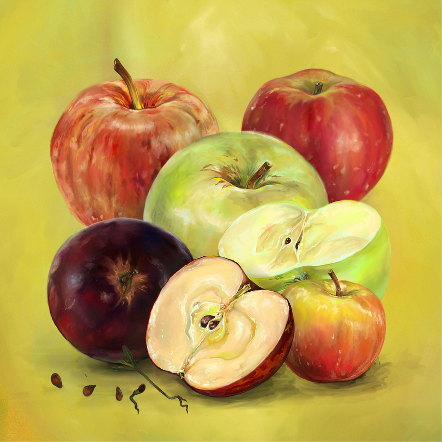 Apples 05