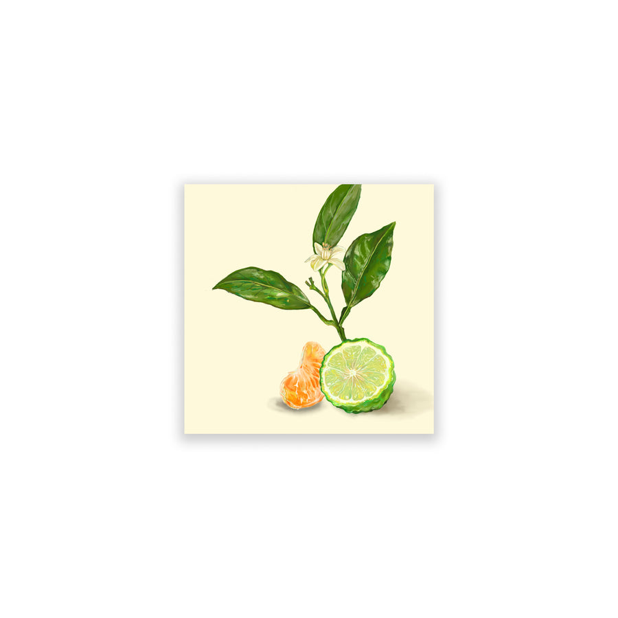 Bergamot & Clementine 01