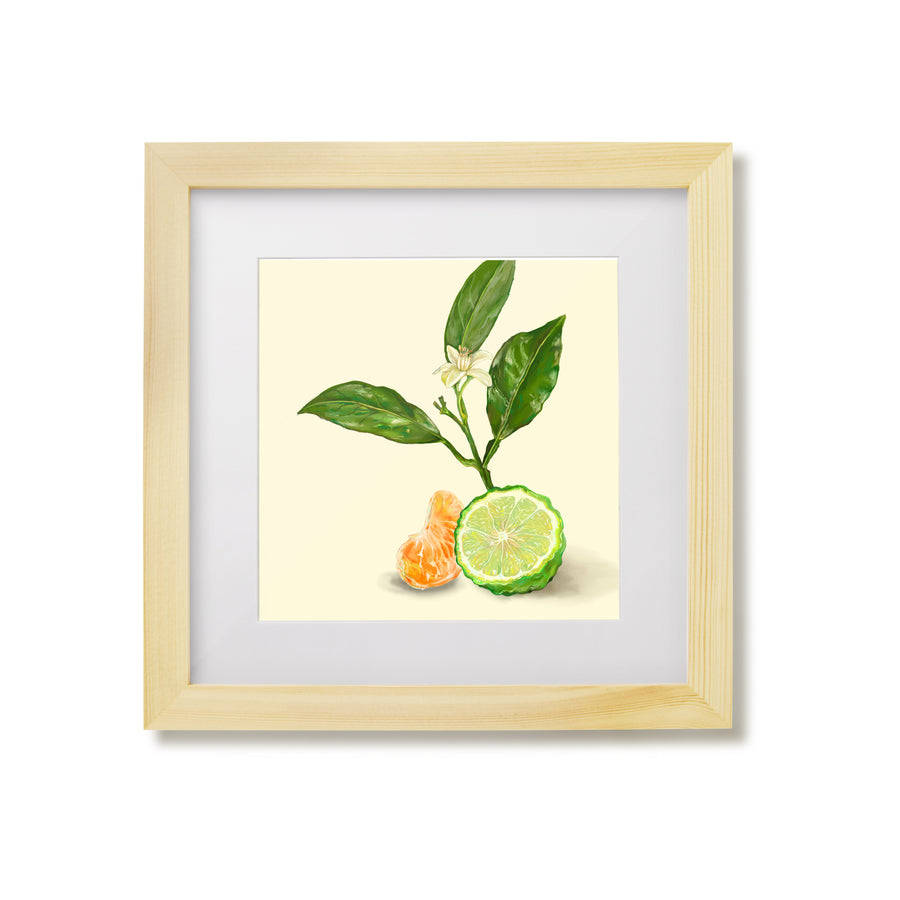 Bergamot & Clementine 01