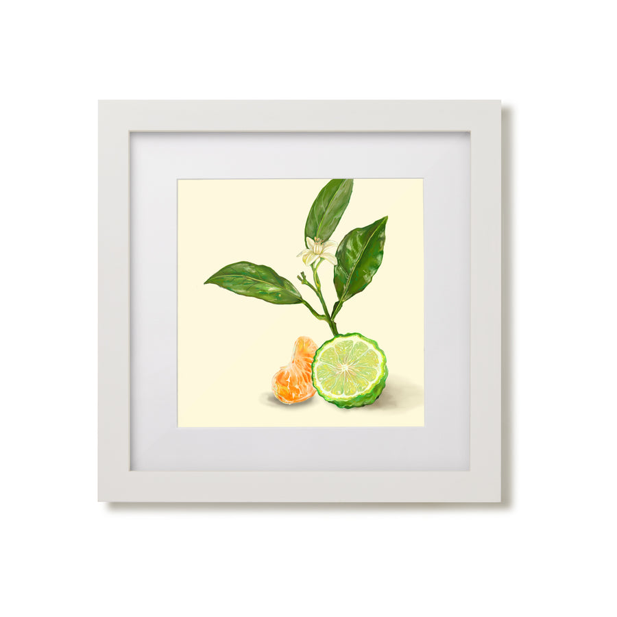 Bergamot & Clementine 01