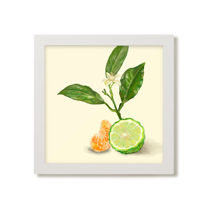 Bergamot & Clementine 01