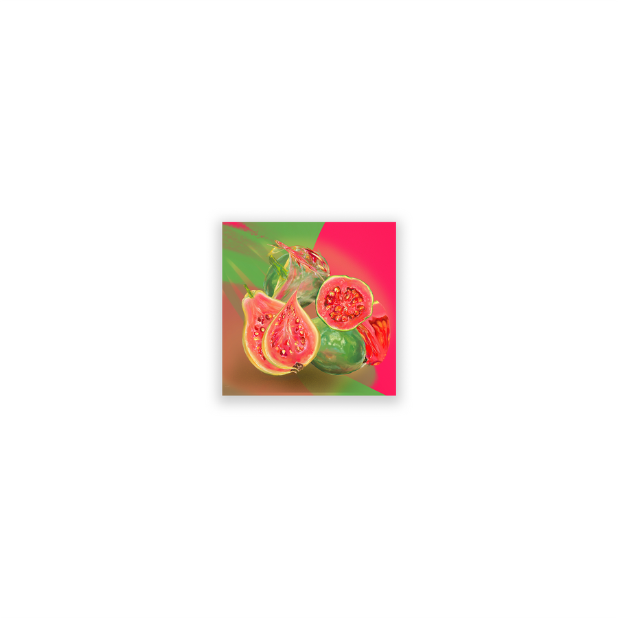 Guava 04