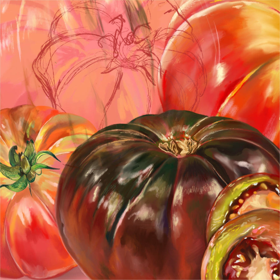 Heirloom Tomato 03