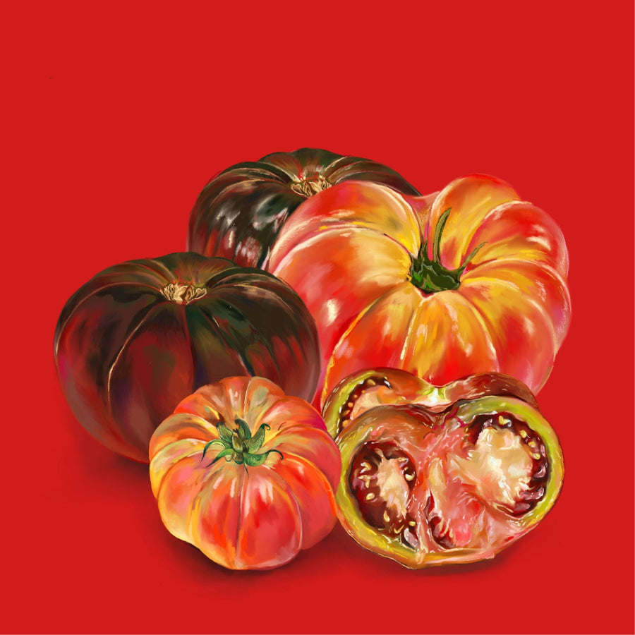 Heirloom Tomato 04