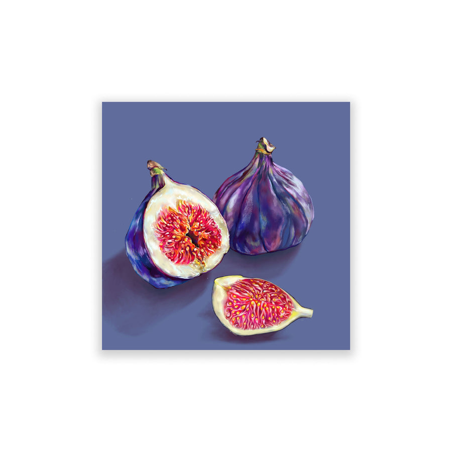 Figs No.09