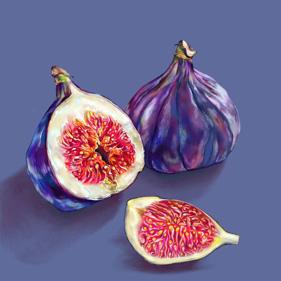 Figs No.09