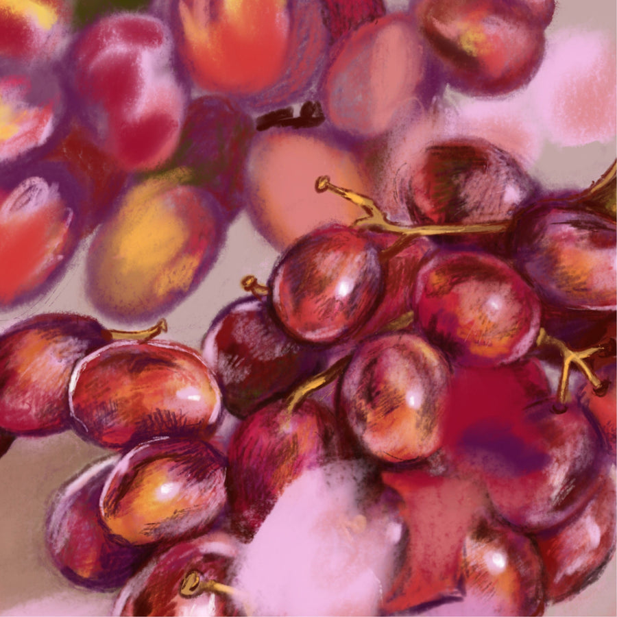 Grapes No.04