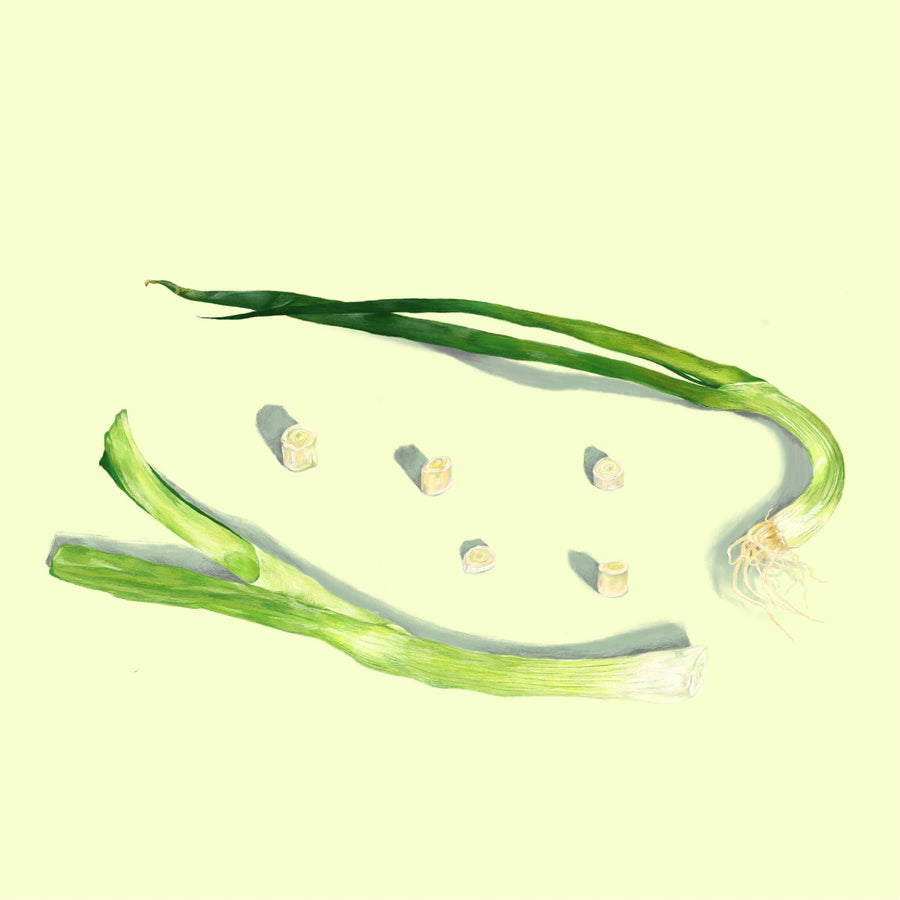 Green Onion No.02