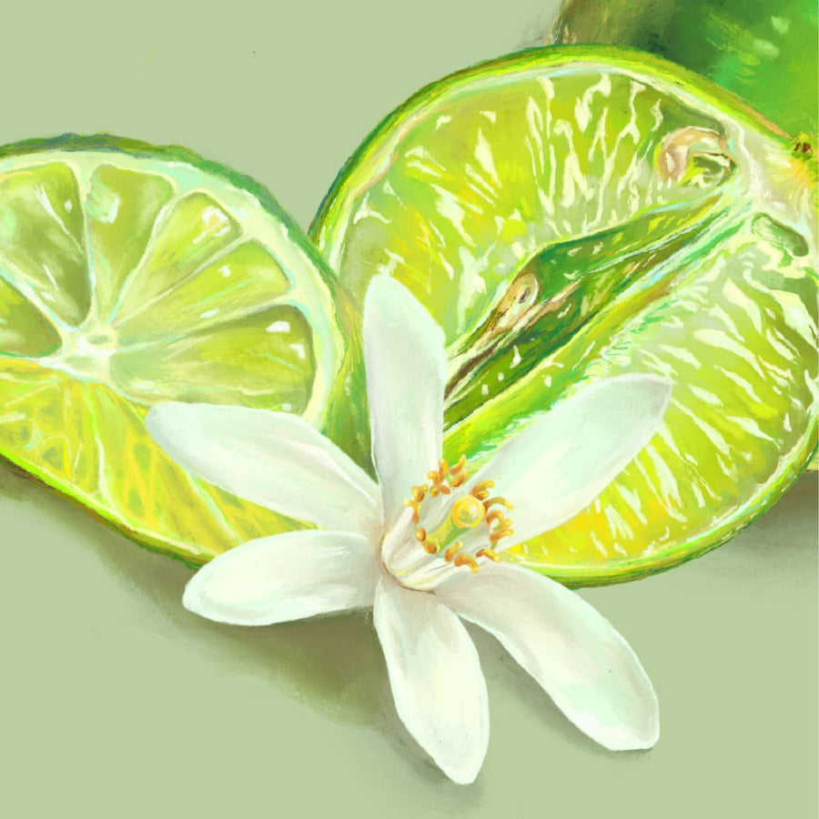 Lime No.12