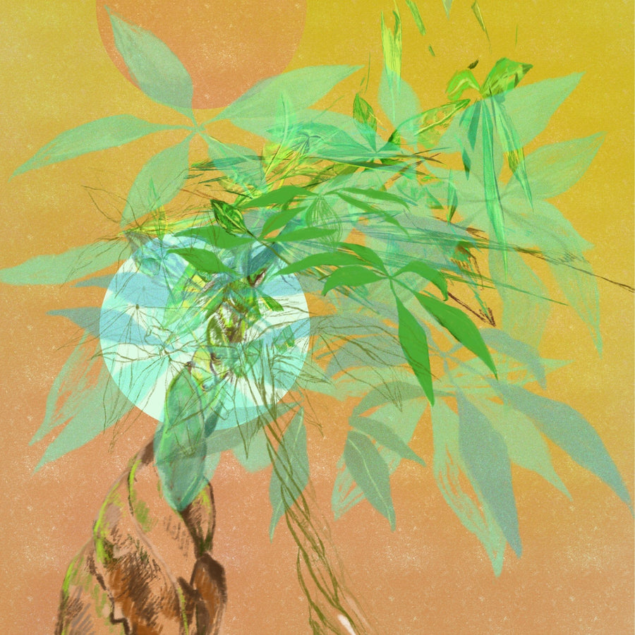 Money Tree Gilded No.02